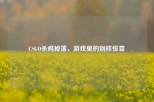 CSGO杀鸡掉落，游戏里的别样惊喜