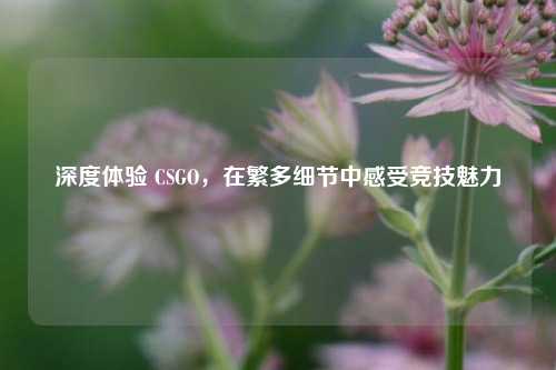 深度体验 CSGO，在繁多细节中感受竞技魅力