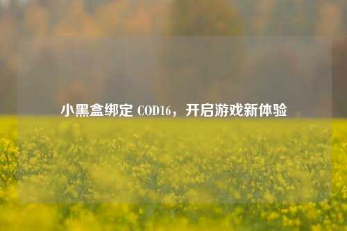 小黑盒绑定 COD16，开启游戏新体验