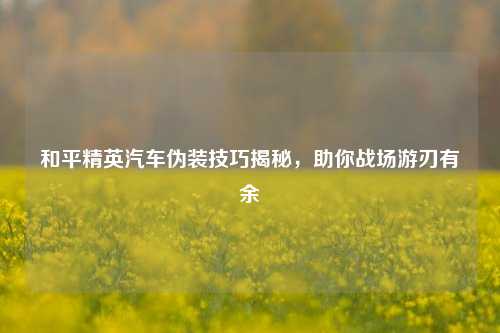 和平精英汽车伪装技巧揭秘，助你战场游刃有余