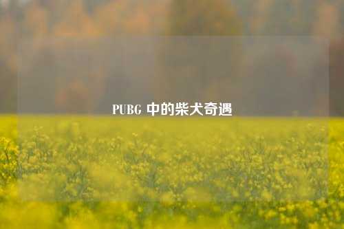 PUBG 中的柴犬奇遇