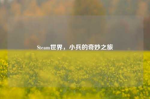 Steam世界,小兵的奇妙之旅