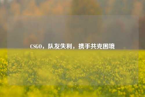 CSGO，队友失利，携手共克困境