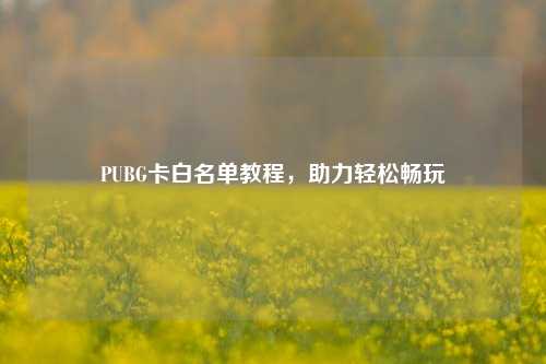 PUBG卡白名单教程，助力轻松畅玩