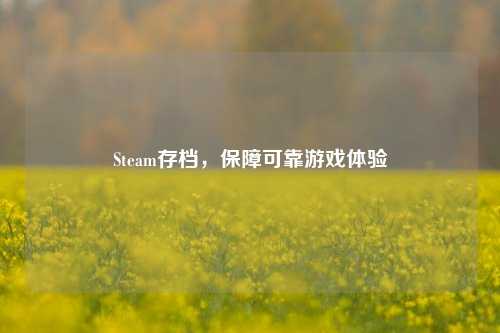 Steam存档,保障可靠游戏体验