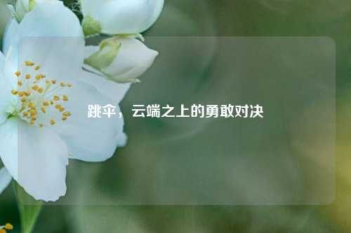 跳伞，云端之上的勇敢对决