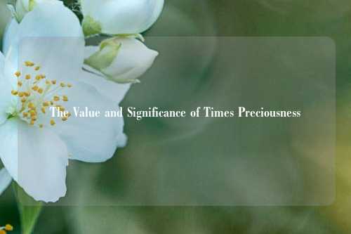 The Value and Significance of Times Preciousness