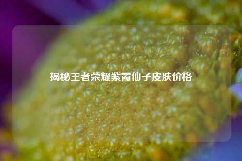 揭秘王者荣耀紫霞仙子皮肤价格