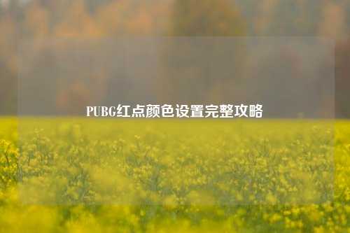 PUBG红点颜色设置完整攻略