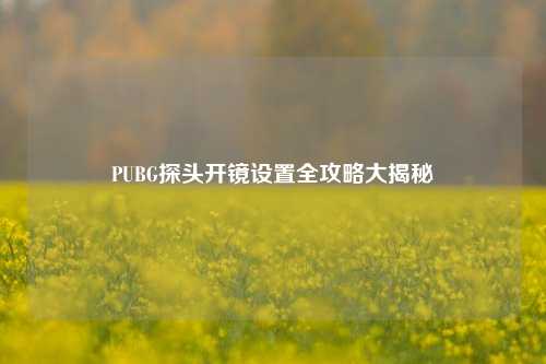 PUBG探头开镜设置全攻略大揭秘