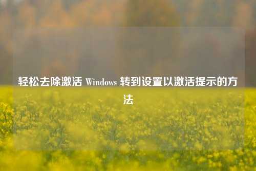 轻松去除激活 Windows 转到设置以激活提示的方法