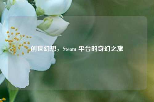 创世幻想,Steam 平台的奇幻之旅