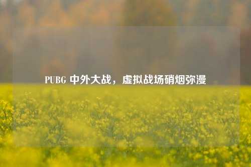 PUBG 中外大战,虚拟战场硝烟弥漫