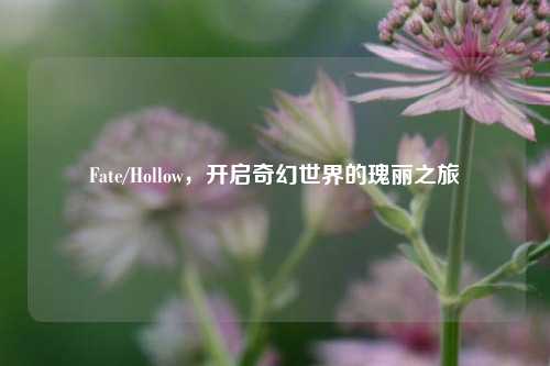 Fate/Hollow,开启奇幻世界的瑰丽之旅