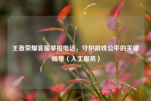 王者荣耀客服举报电话，守护游戏公平的关键纽带（人工服务）