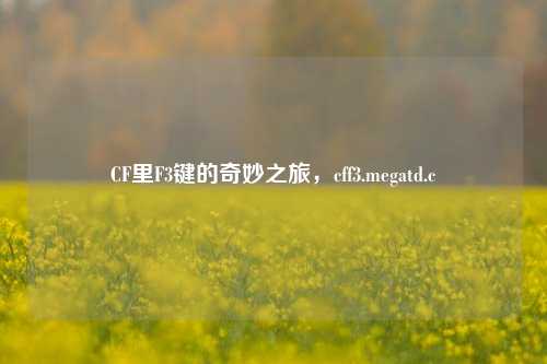 CF里F3键的奇妙之旅，cff3.megatd.c
