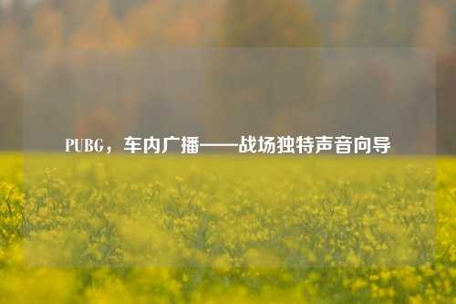 PUBG，车内广播——战场独特声音向导