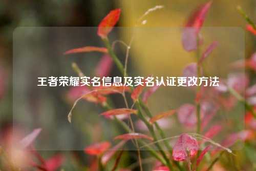 王者荣耀实名信息及实名认证更改方法