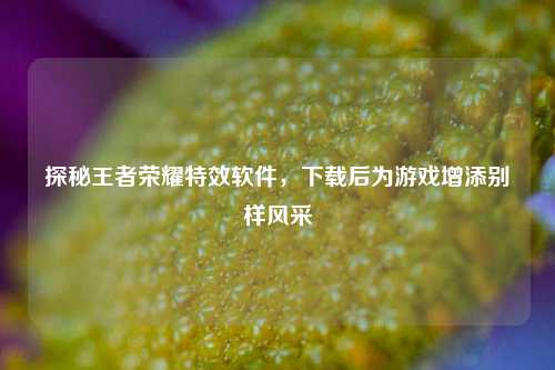 探秘王者荣耀特效软件，下载后为游戏增添别样风采