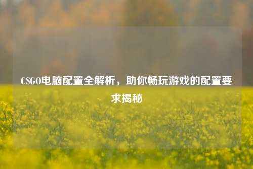 CSGO电脑配置全解析，助你畅玩游戏的配置要求揭秘