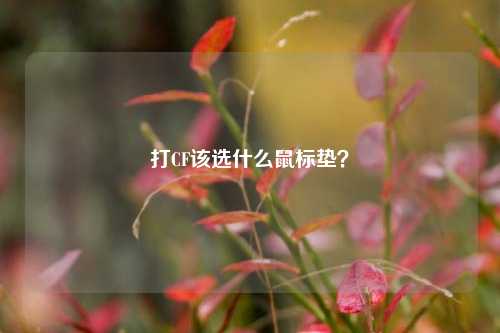 打CF该选什么鼠标垫？