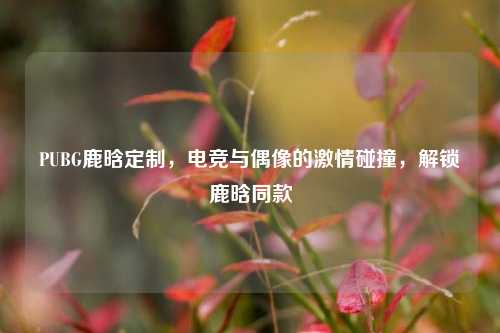 PUBG鹿晗定制，电竞与偶像的激情碰撞，解锁鹿晗同款