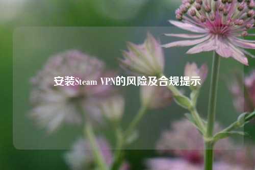 安装Steam VPN的风险及合规提示