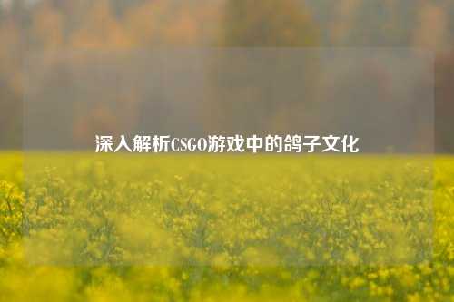 深入解析CSGO游戏中的鸽子文化