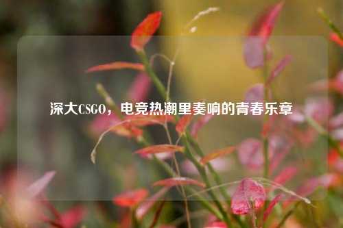 深大CSGO，电竞热潮里奏响的青春乐章