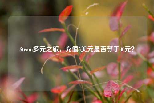 Steam多元之旅，充值5美元是否等于30元？