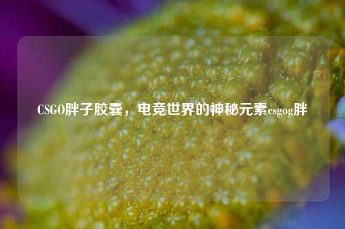 CSGO胖子胶囊，电竞世界的神秘元素csgog胖