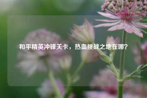 和平精英冲锋关卡，热血挑战之地在哪？