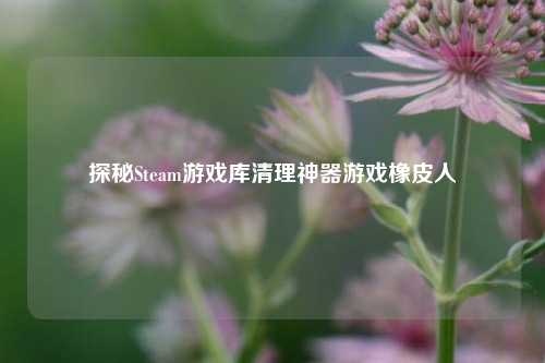 探秘Steam游戏库清理神器游戏橡皮人