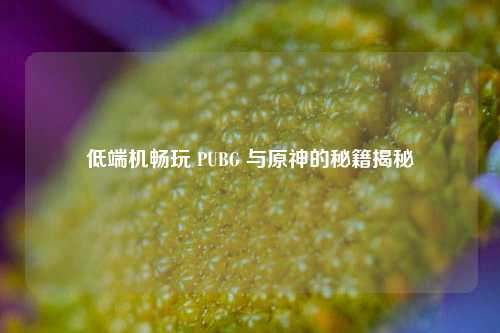 低端机畅玩 PUBG 与原神的秘籍揭秘