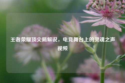 王者荣耀顶尖局解说，电竞舞台上的灵魂之声视频