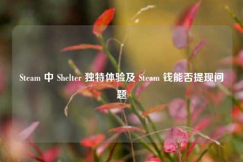 Steam 中 Shelter 独特体验及 Steam 钱能否提现问题