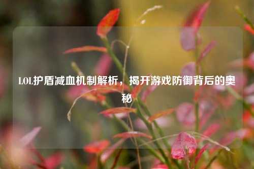 LOL护盾减血机制解析，揭开游戏防御背后的奥秘