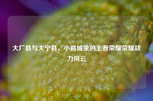 大厂县与大宁县，小县城里的王者荣耀荣耀战力风云