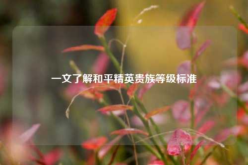 一文了解和平精英贵族等级标准