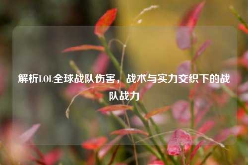 解析LOL全球战队伤害，战术与实力交织下的战队战力