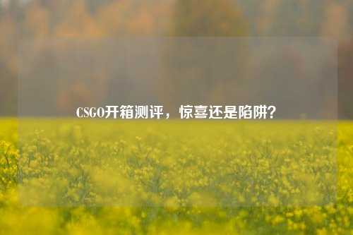 CSGO开箱测评，惊喜还是陷阱？