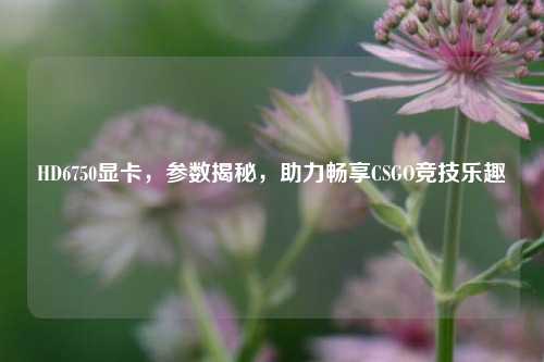 HD6750显卡，参数揭秘，助力畅享CSGO竞技乐趣