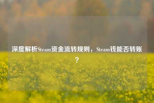 深度解析Steam资金流转规则，Steam钱能否转账？
