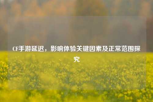 CF手游延迟，影响体验关键因素及正常范围探究