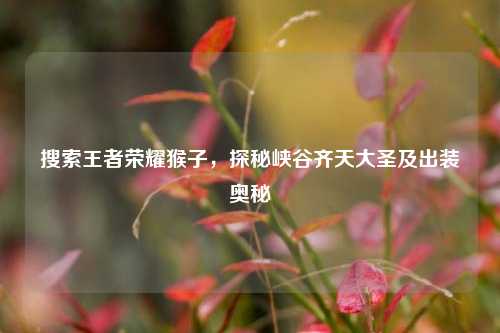 搜索王者荣耀猴子，探秘峡谷齐天大圣及出装奥秘