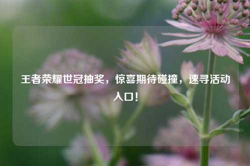 王者荣耀世冠抽奖，惊喜期待碰撞，速寻活动入口！