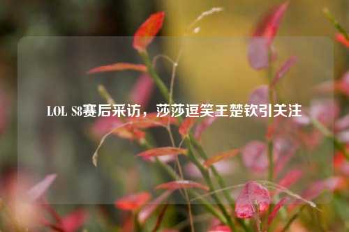 LOL S8赛后采访，莎莎逗笑王楚钦引关注