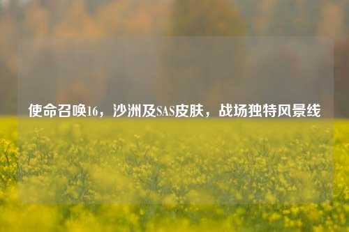 使命召唤16，沙洲及SAS皮肤，战场独特风景线