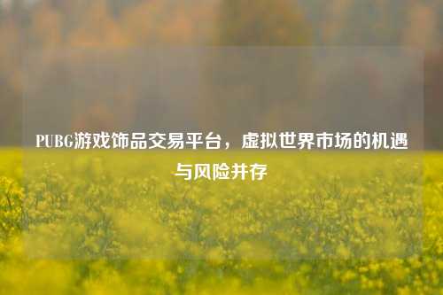 PUBG游戏饰品交易平台，虚拟世界市场的机遇与风险并存