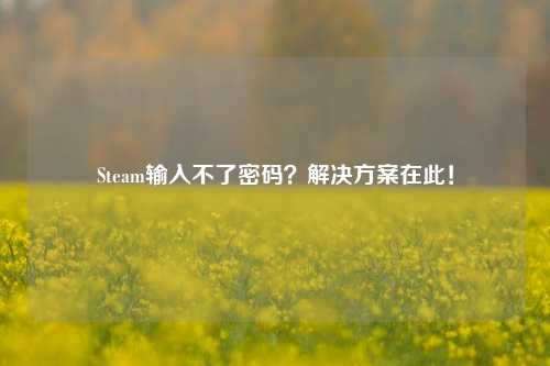 Steam输入不了密码？解决方案在此！